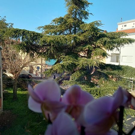 פאז'אנה Apartment Luka מראה חיצוני תמונה