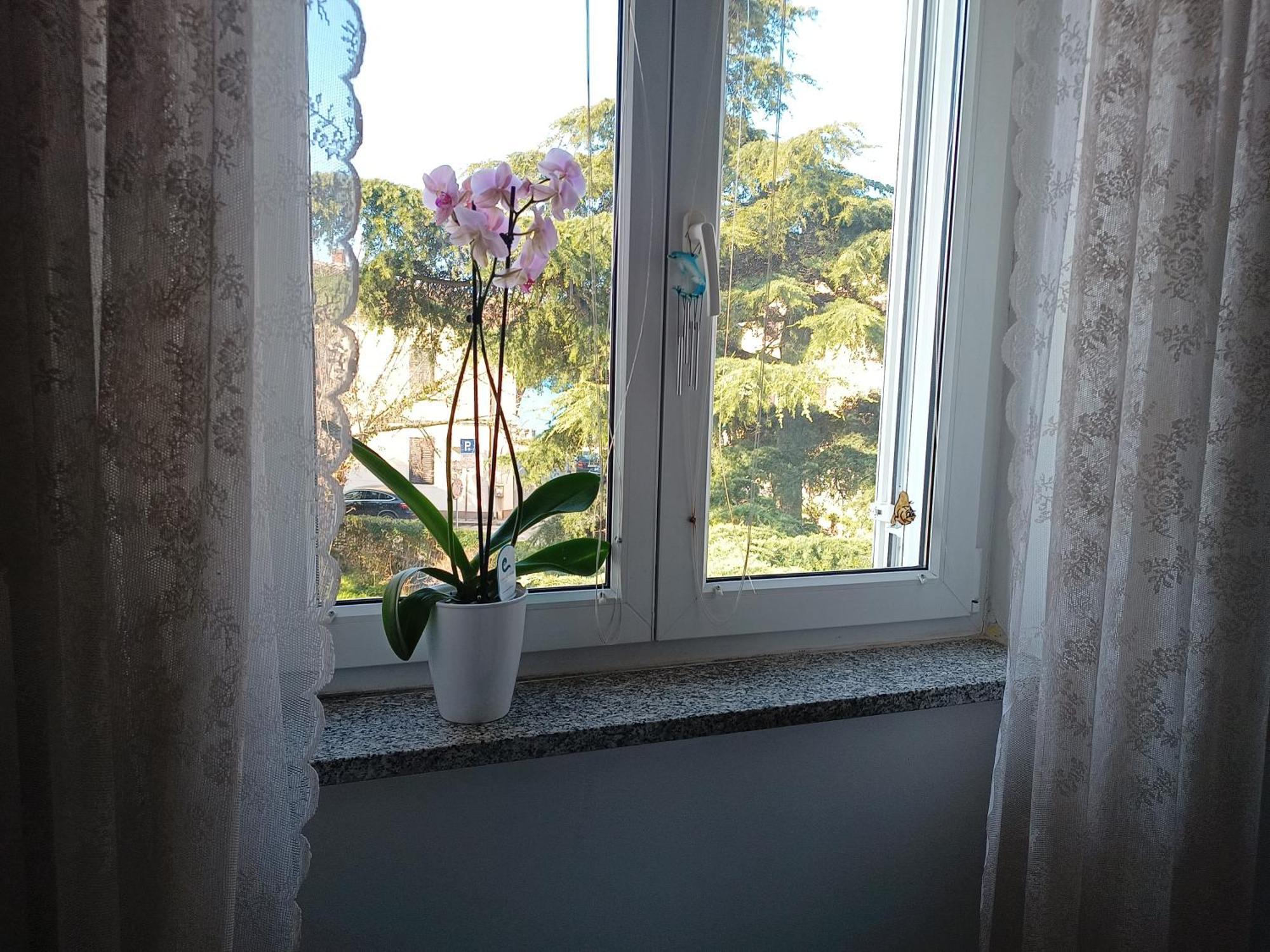 פאז'אנה Apartment Luka מראה חיצוני תמונה